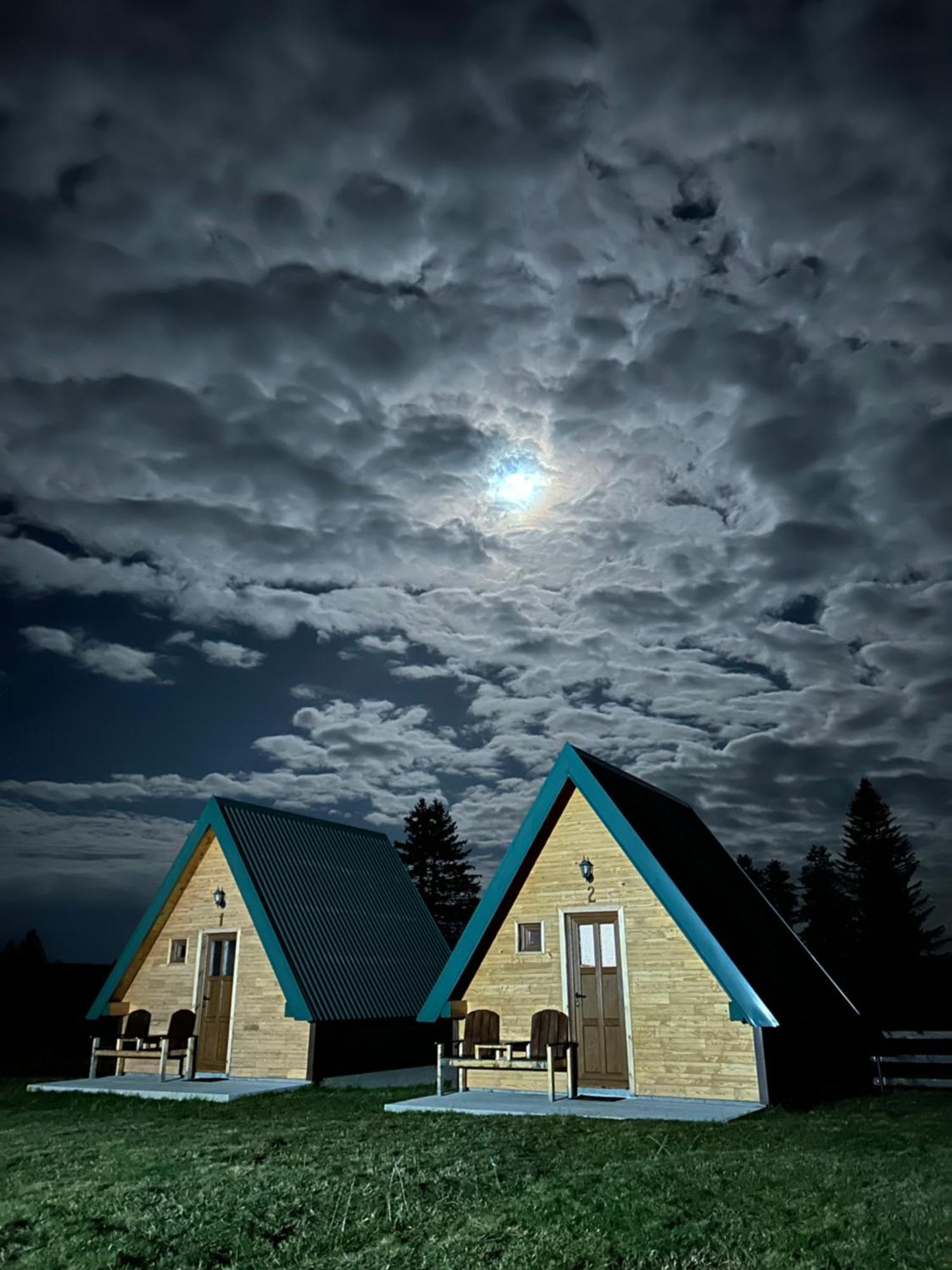 Sumski Raj Žabljak Cameră foto